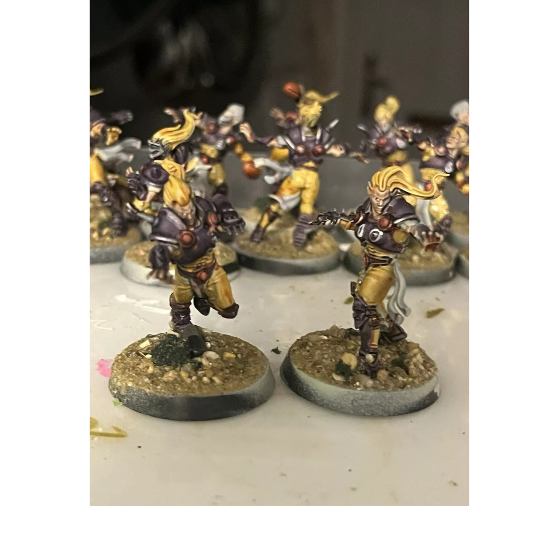 Elfheim Eagles Team: Blood Bowl