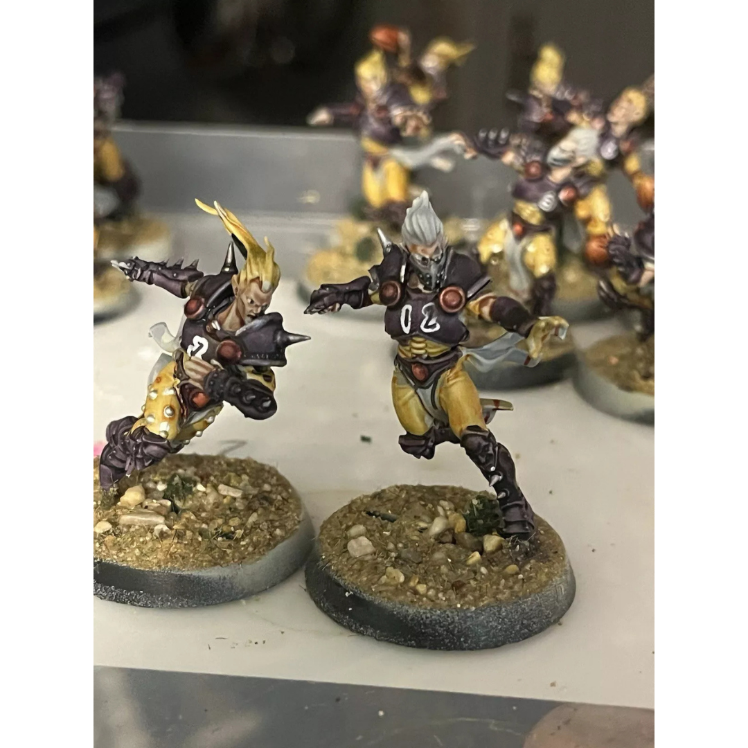 Elfheim Eagles Team: Blood Bowl
