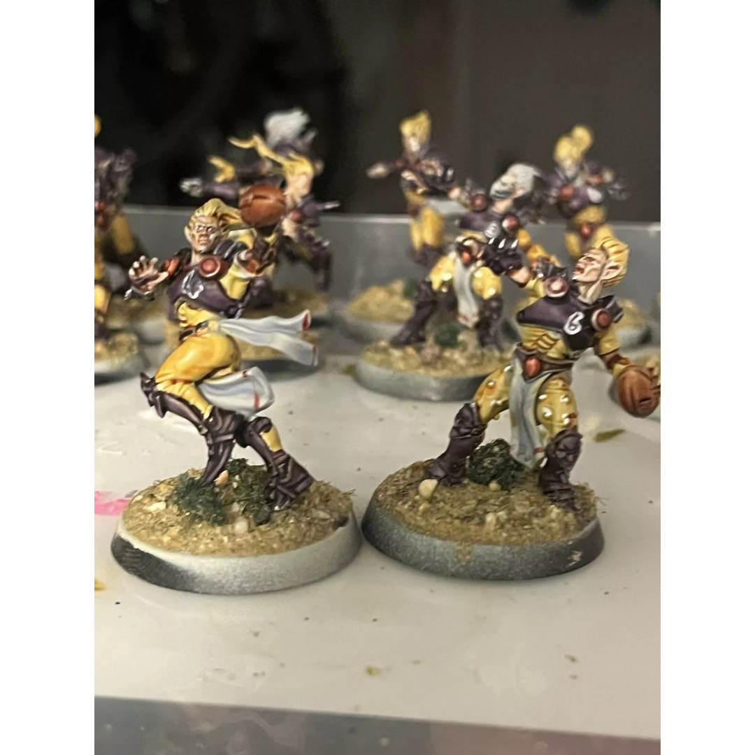 Elfheim Eagles Team: Blood Bowl