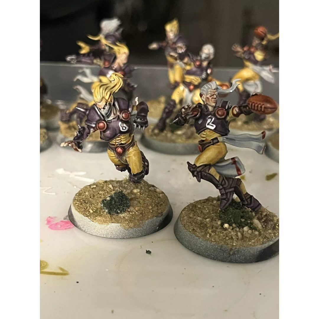 Elfheim Eagles Team: Blood Bowl