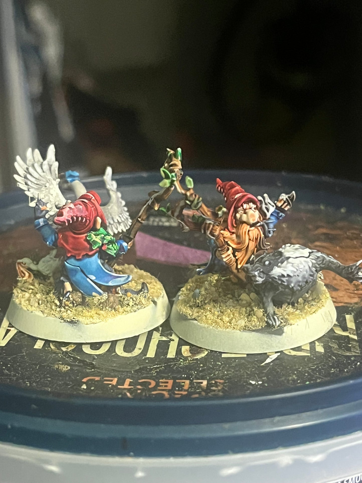 Beautifully painted Glimdarrow groundhogs gnome blood bowl team