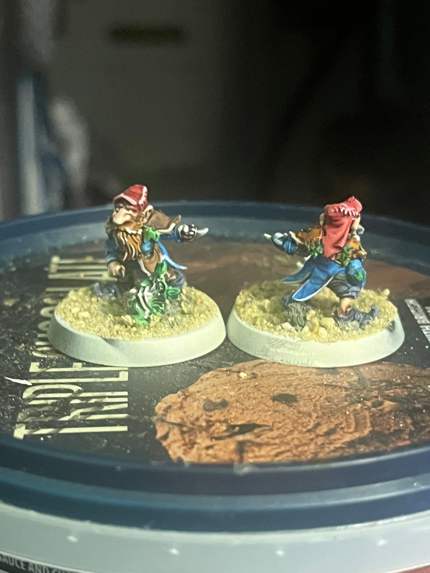 Beautifully painted Glimdarrow groundhogs gnome blood bowl team