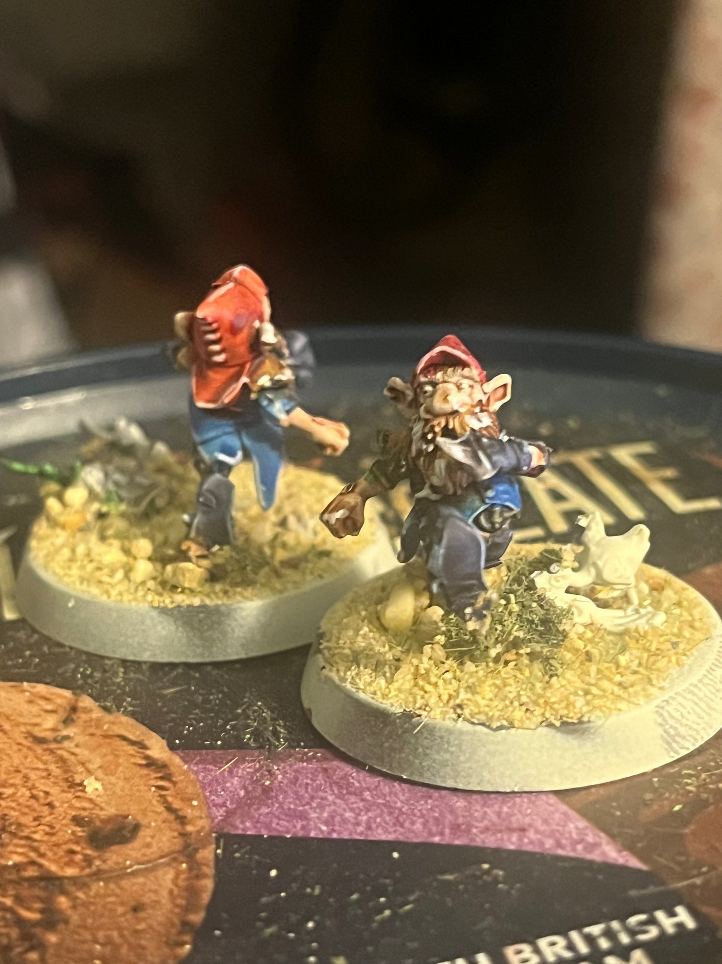 Beautifully painted Glimdarrow groundhogs gnome blood bowl team