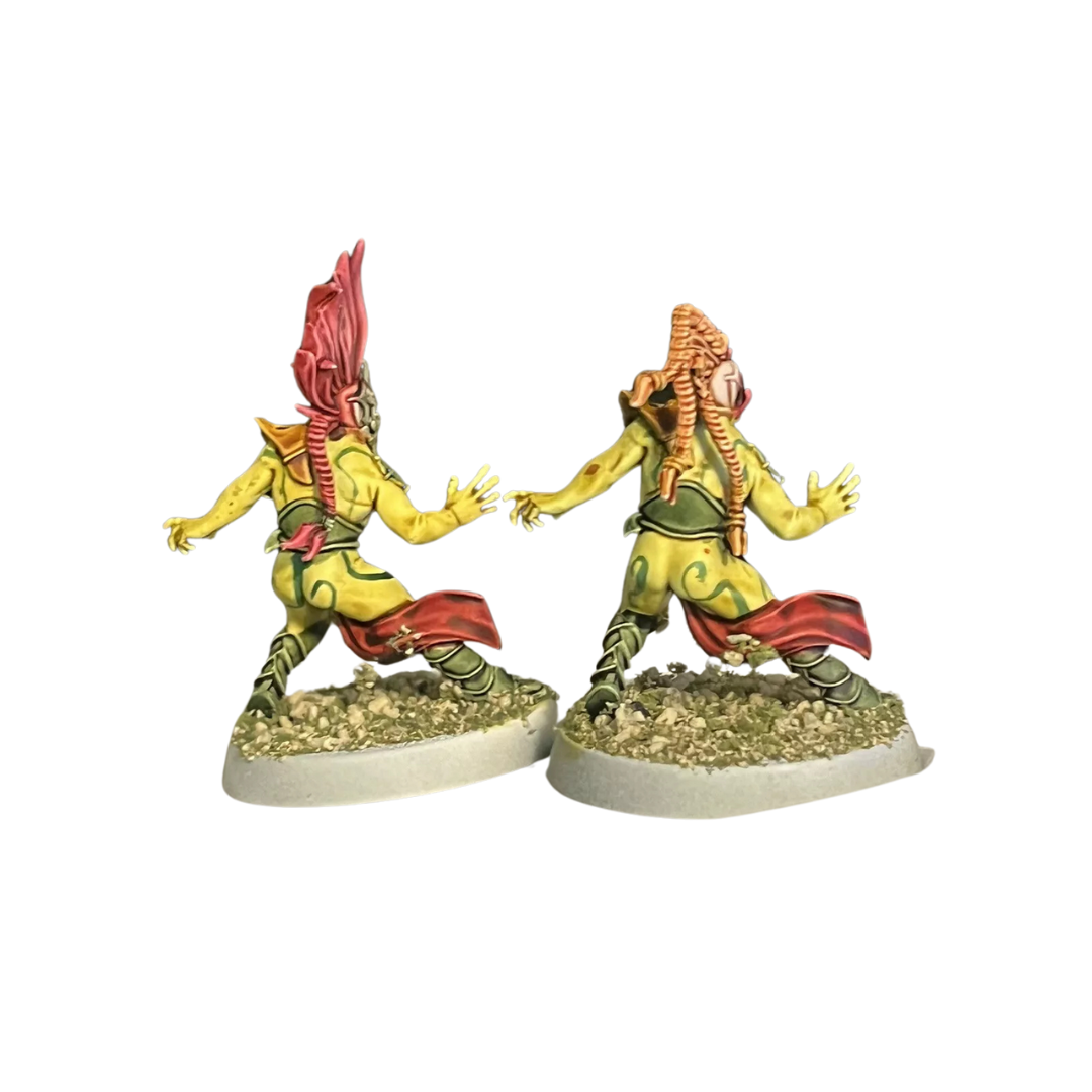 Avelorn Avengers Team: Blood Bowl