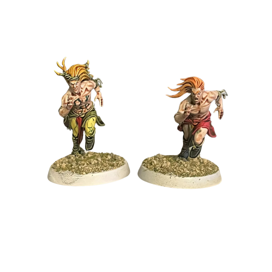 Avelorn Avengers Team: Blood Bowl