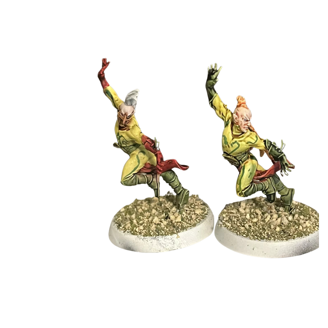 Avelorn Avengers Team: Blood Bowl