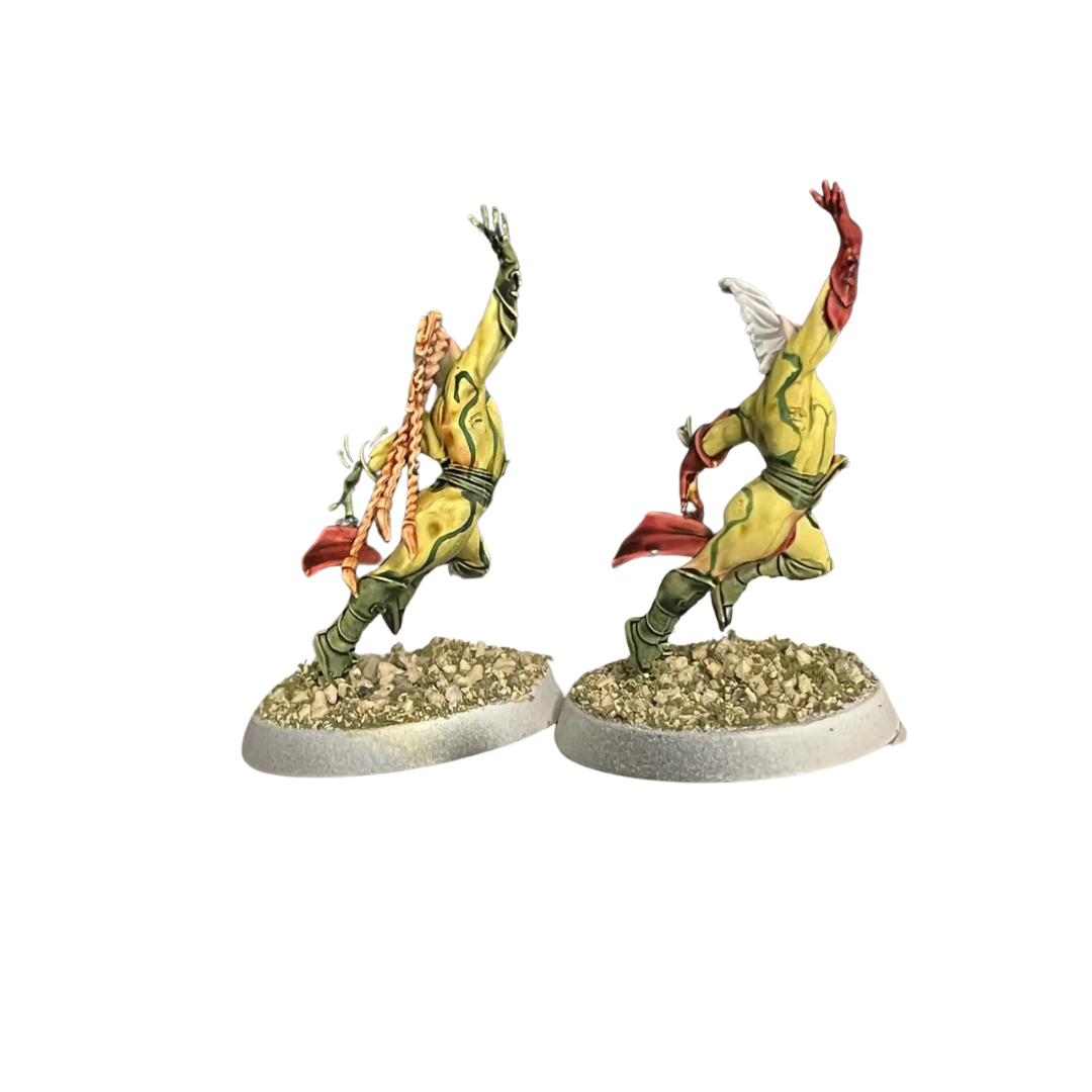 Avelorn Avengers Team: Blood Bowl
