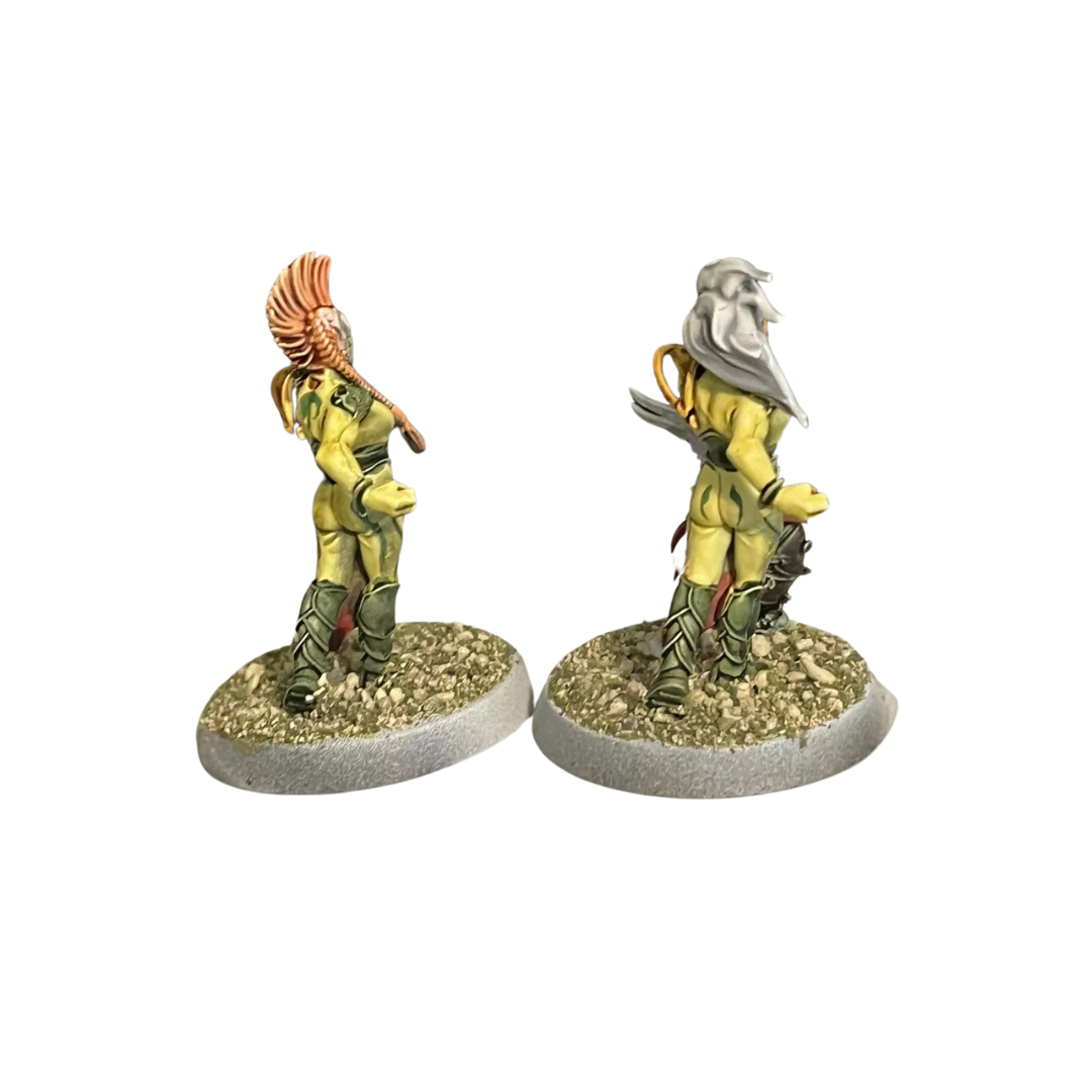 Avelorn Avengers Team: Blood Bowl