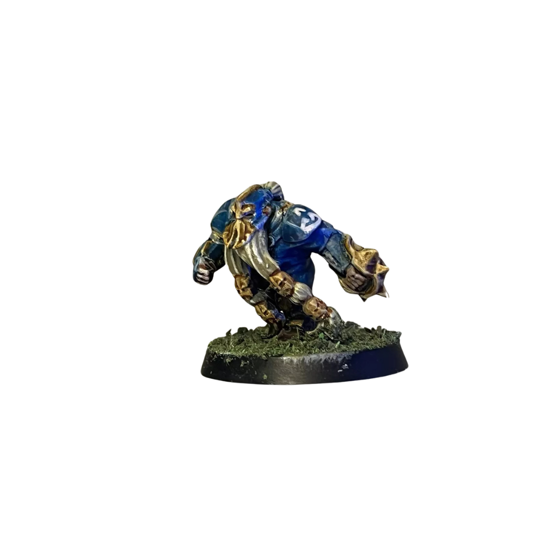 Big Range Team: Blood Bowl