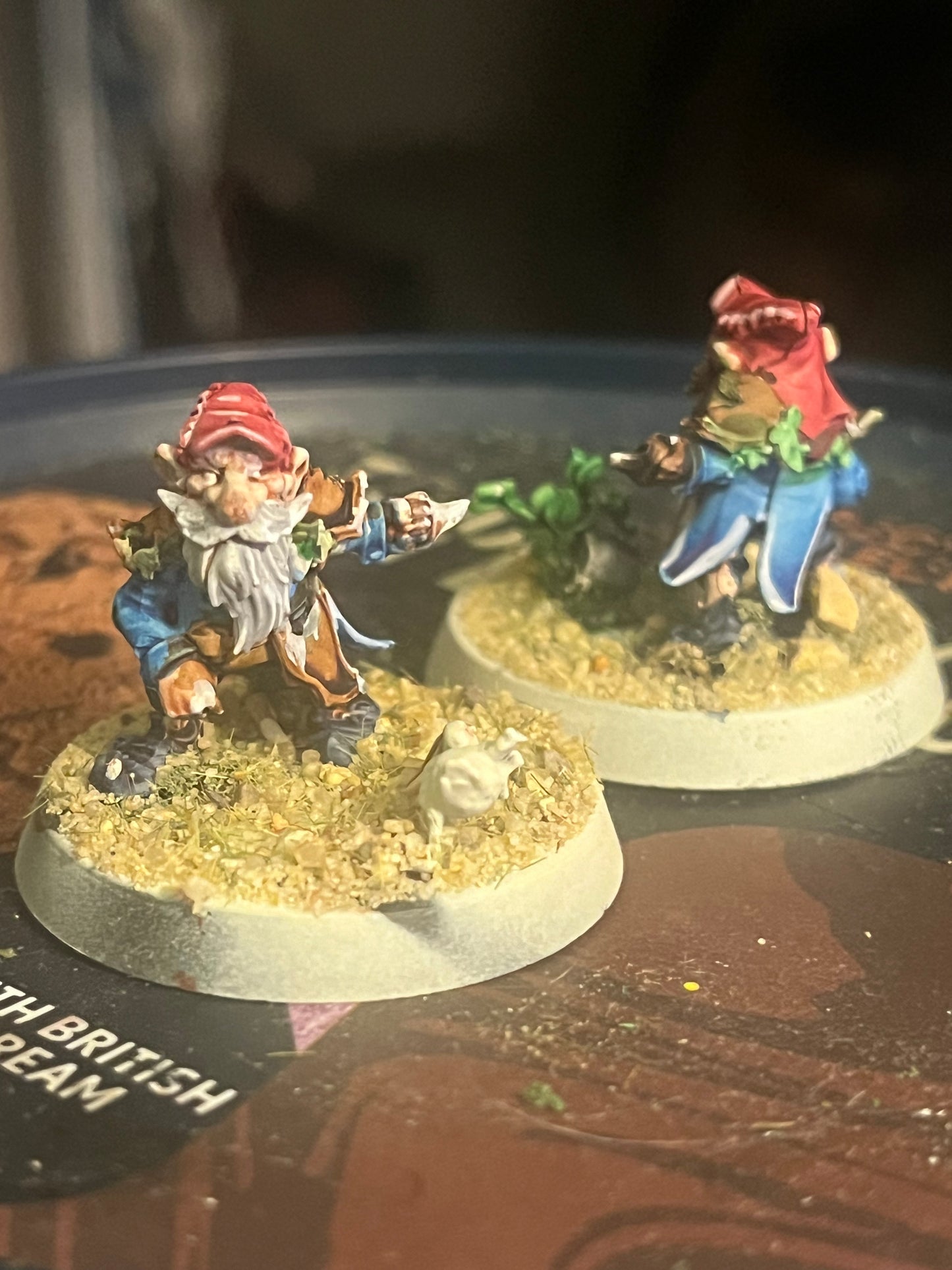 Beautifully painted Glimdarrow groundhogs gnome blood bowl team
