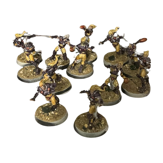 Elfheim Eagles Team: Blood Bowl