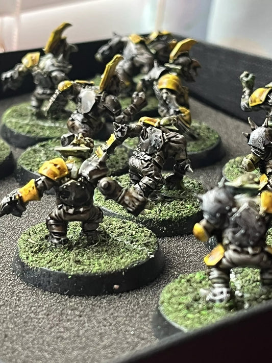 Scarcrag Snivellers Team: Blood Bowl