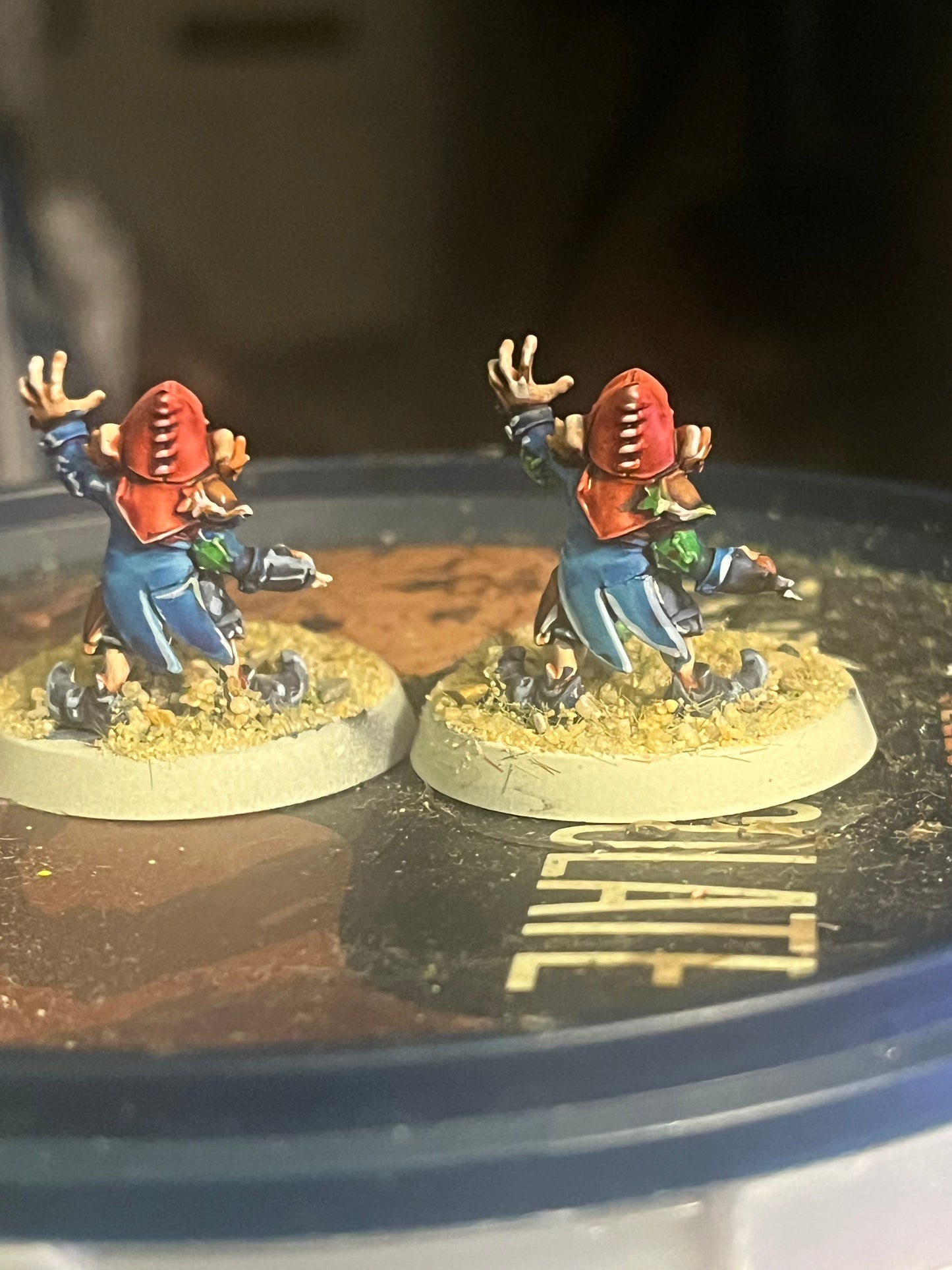 Beautifully painted Glimdarrow groundhogs gnome blood bowl team