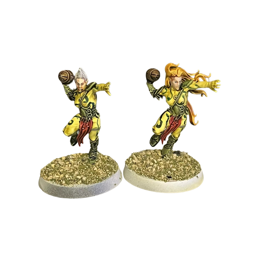 Avelorn Avengers Team: Blood Bowl